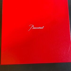 Gorgeous new inbox Baccarat Silk Scarf
